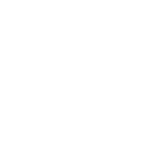 לוגו NB BURGER